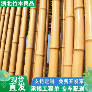 防腐竹竿竹子装饰装修隔断吊顶庭院竹篱笆栅栏围栏墙面黄竹杆竹棍