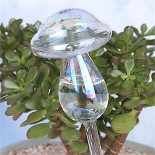 Plant Ball Glass Self Watering