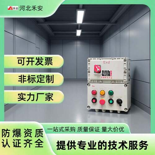 不锈钢防爆配电箱变频弱电箱控制箱照明动力接线箱仪表电源