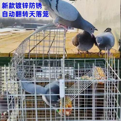 鸽子笼天落笼收鸽笼自动左右翻转连续进鸽笼屋顶阳台户外防雨防锈