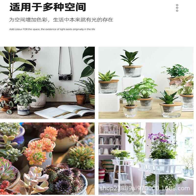 夹OWS子植物长灯全谱led生态光水草绿植补光灯室内小阳办太公桌生
