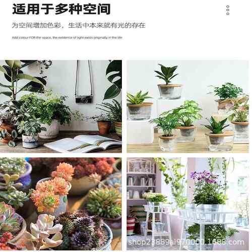 夹子物植生长光灯全光谱led生态草绿植补灯室内LJD水小太阳办公桌