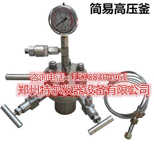 -CF0.25L简易不反锈钢CF高压反应釜 FC-250ML高压应釜 简易釜
