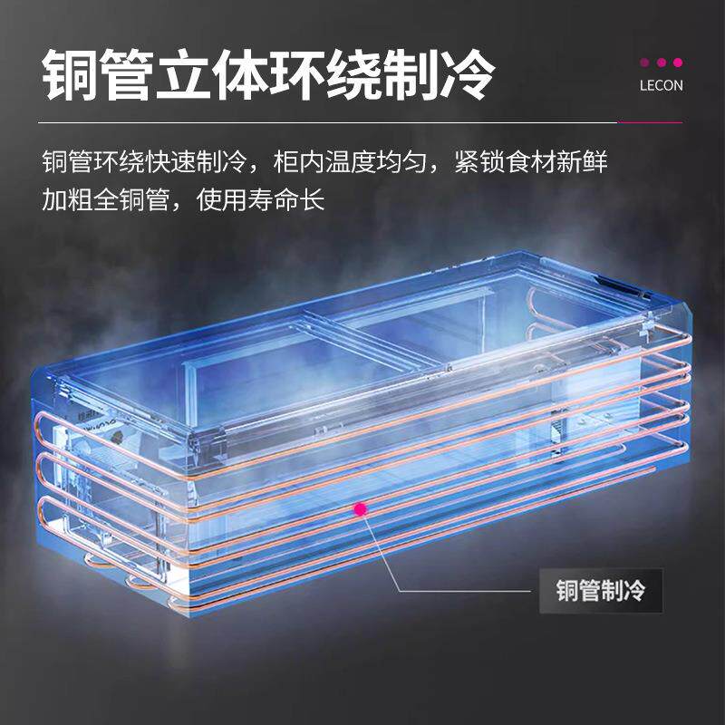 乐台式冷藏109展示柜三轮车摆摊炸串烧冷烤冻冰柜商用创小点菜冰