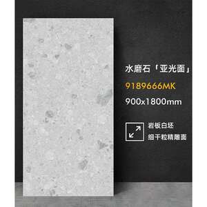 德莱堡水磨石瓷砖客厅卧室阳台卫生间浴室防滑900x1800