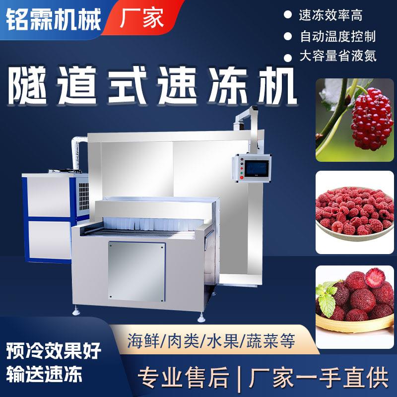 全自动隧道速冻机 杨梅水果大型速冻机 桑葚树莓隧道式速冻设备