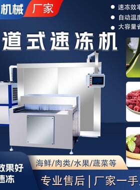 商用大型果蔬面食隧道式速冻机全自动调制品料理低温速冻设备