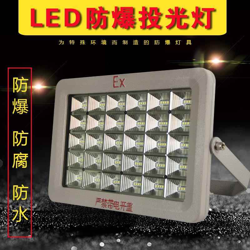 上海亚明照明防爆地雷灯 LED透镜 30W50W80W100W防摔防水三防