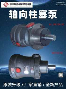 邵阳维克液压MCY14-1B轴向柱塞泵SY-63YCY14-1EL油泵40SCY14-1B/X