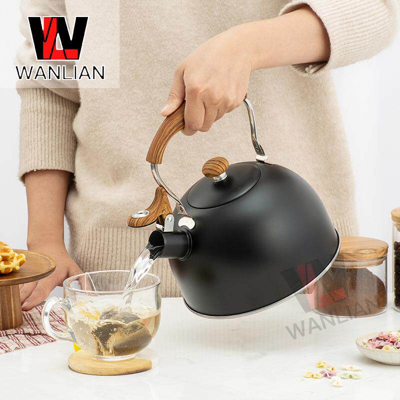 黑色鸣笛烧水壶泡咖啡冲奶鸣音煮水壶2.5L响水壶炉具通用不锈钢