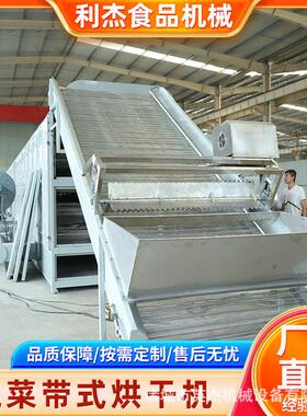 芒果片网带隧道烘干线全自动连续式热泵控温304不锈钢机身