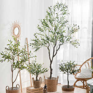 饰 北欧ins仿真绿植盆栽橄榄树落地大型假植物摆件室内家居网红装