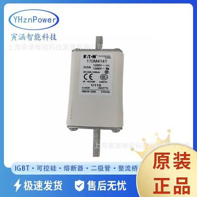 高压限流熔断器/熔芯170M4114170M4115全新现货快熔耐压