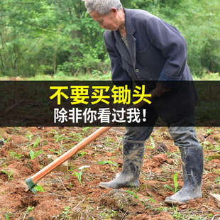 农用农具种菜两用锄头户外全钢加厚家用开荒除草挖土刨草锄草专用