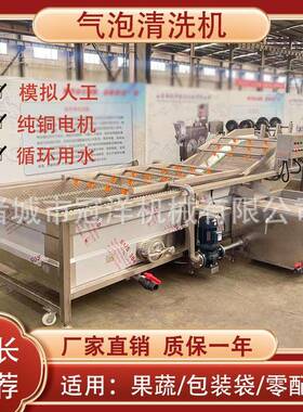 商用刺梨清洗机 全自动压喷淋酸菜脱盐机 海蛎子红薯气泡清洗机