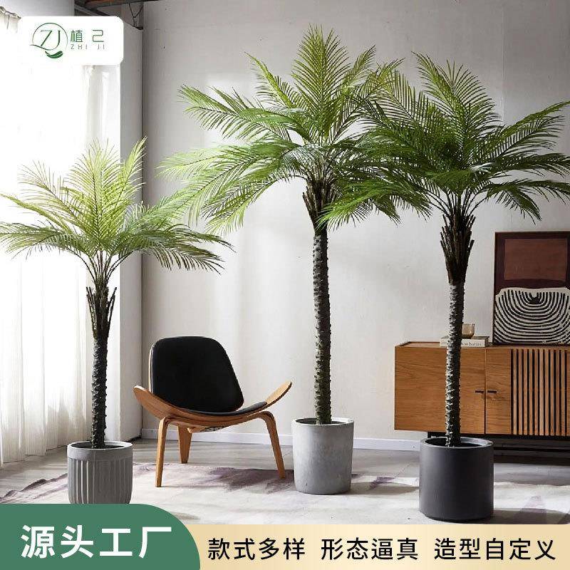 仿真针葵刺葵室内家居装饰植物摆件落地假树散尾葵盆栽造景刺葵