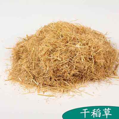 鸟类筑巢椰丝垫料鸟窝鹦鹉保暖草丝草编棕丝窝鼠繁衍木屑鸽子珍珠