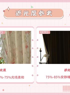 法式蕾丝洛可可花边梦幻窗帘轻奢卧室女2024新款纱帘免打孔伸缩杆