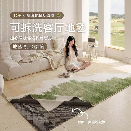 2026新款地毯客厅可拆洗奶油风高级感沙发茶几毯双层可机洗床边毯