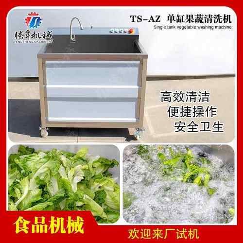 果蔬清洗设备 菠菜清洗机 草莓洗果机厂家直销 气泡洗菜机