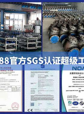 Y型过滤器GL41H-GL41H-1616家Q全通径球磨铸铁材质滤网34兰法连接