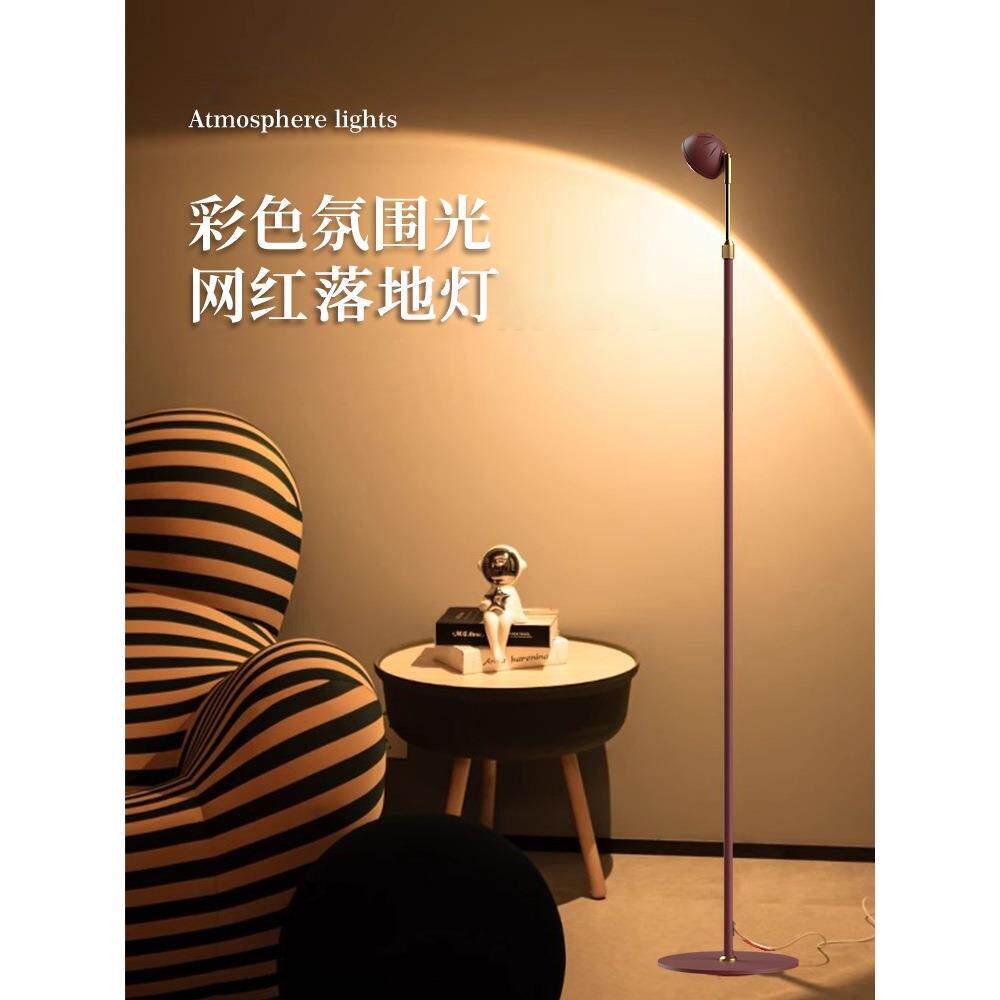 艺术感落地灯客厅沙发旁边高级感轻奢落地氛围灯卧室网红落地台灯