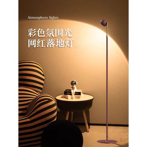 艺术感落地灯客厅沙发旁边高级感轻奢落地氛围灯卧室网红落地台灯