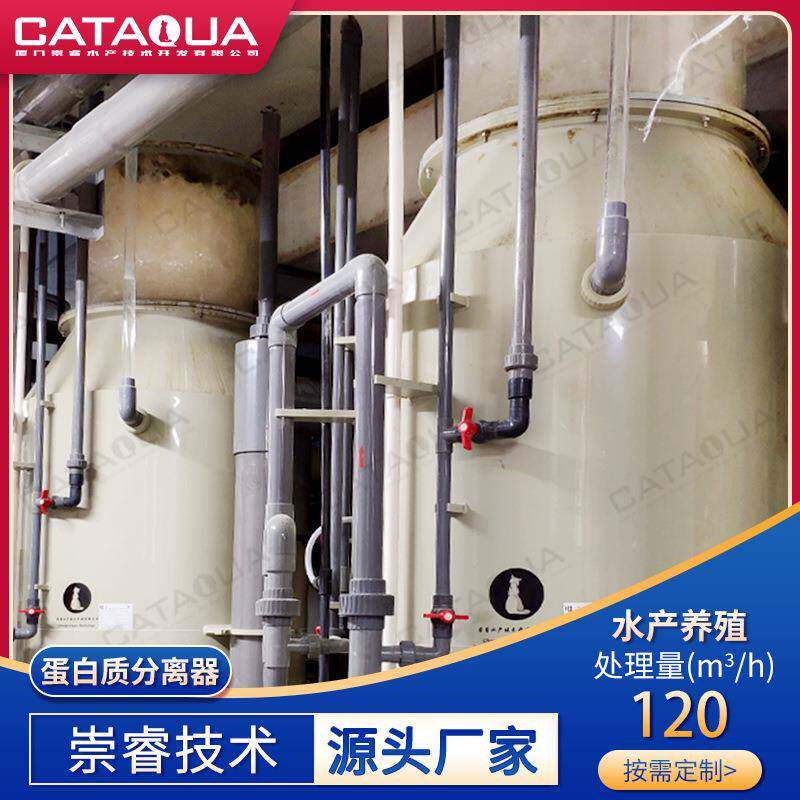 蛋白质分离器高密度水产养殖蛋分器蛋白质除沫器
