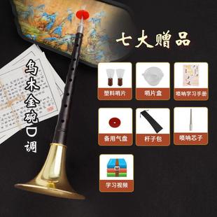 正品 初学成者呐红木乌木黑檀木民族吹奏乐调器人入门D中号喇叭全