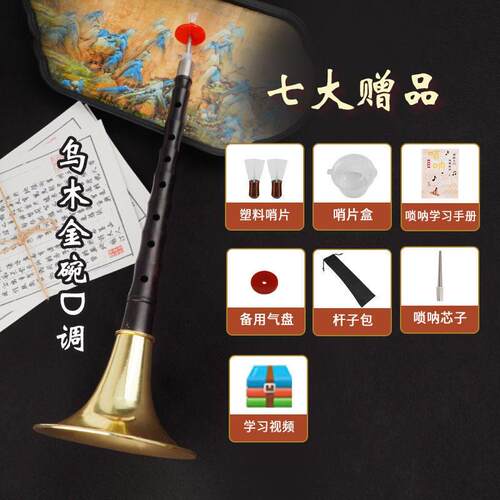 正品初学成者呐红木乌木黑檀木民族吹奏乐调器人入门D中号喇叭全