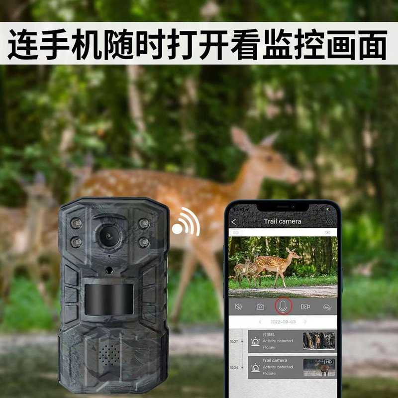 野外无红4G观鸟动物红外相机森林业果园槟榔充电电力拆卸远程监控