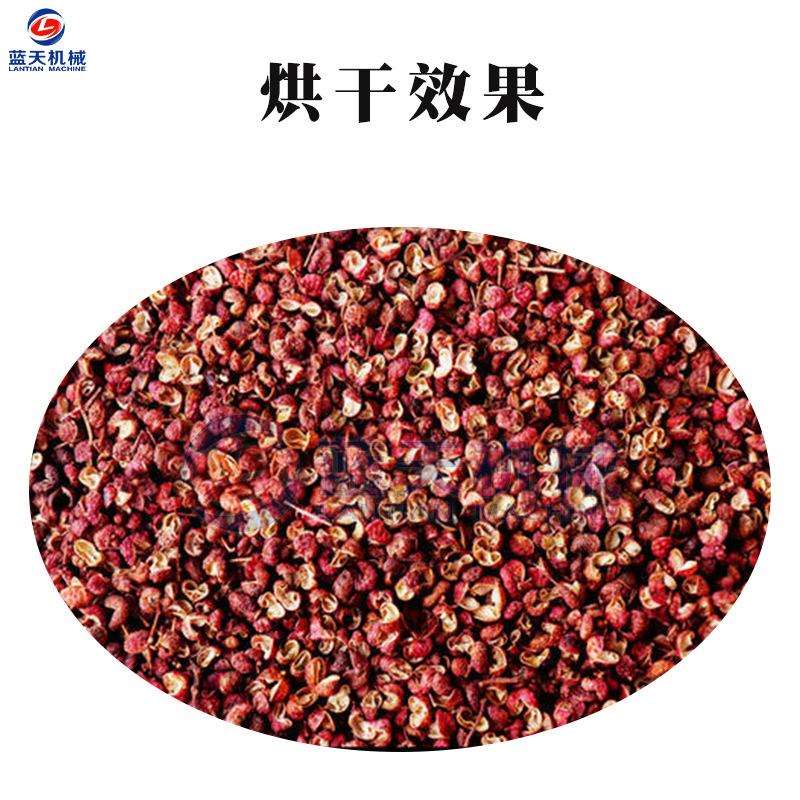 花椒烘红干机智能控温带枝花椒烘干设LT-HHJ备大胡川椒大椒型料烘