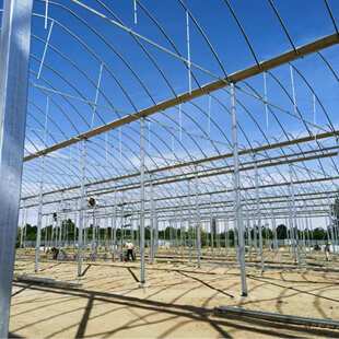 温室蔬菜双大棚种植 温棚双棚膜栋新式厂拱加工薄膜厂生产 连保