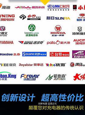 适用天能电动车电瓶充电器24V36V48V60V72V50ah80V84V96V108V120V