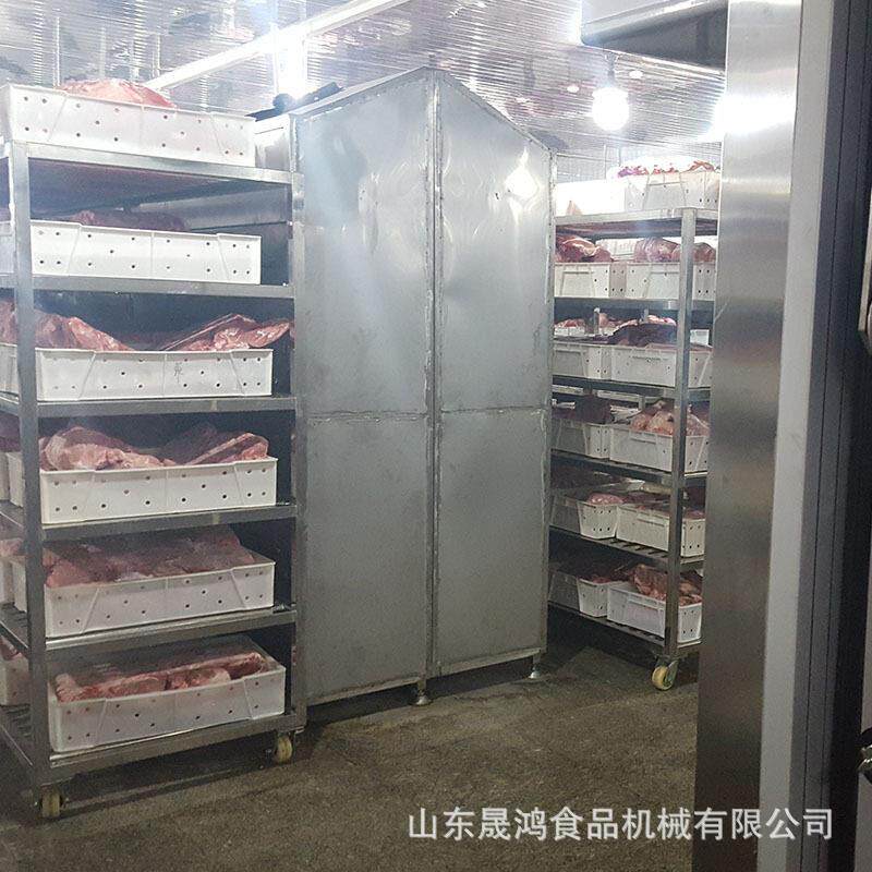 晟鸿冻牛肉四分体低温湿解冻机 肉类食品解冻设备
