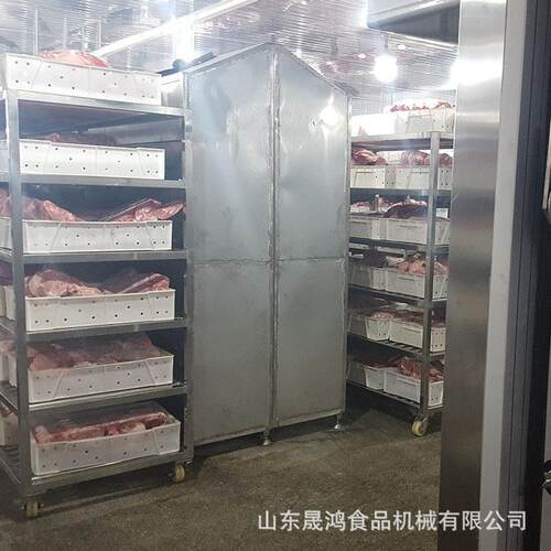 晟鸿肉制品解冻机 全自动解冻库 整鸭缓化设备