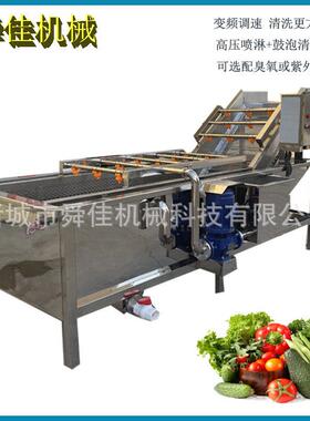 鲜辣椒小型气泡清洗机杨梅果蔬清洗机小龙虾效清洗设备