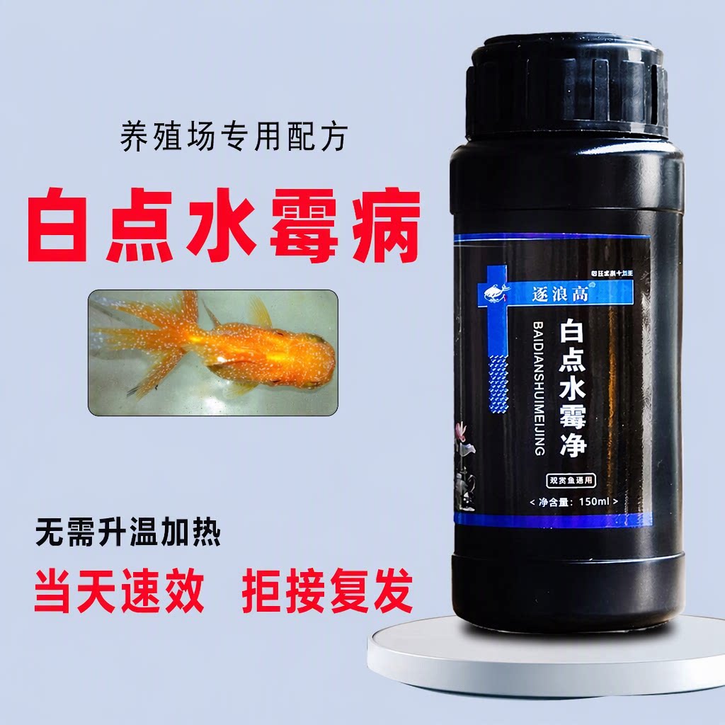 逐浪高白点净鱼药小瓜虫白点病水霉病锦鲤鹦鹉鱼斗鱼金鱼益生菌