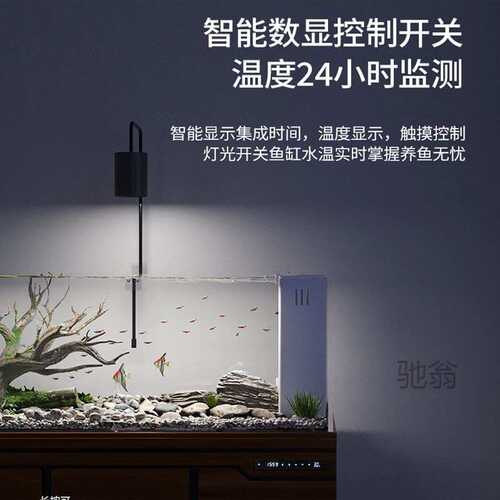 鱼缸缸客厅玻璃水草大型慈底f麓新款滤白超造景家用溪流原生态缸