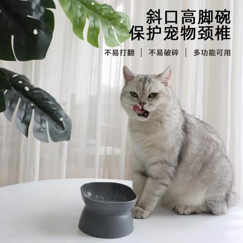 乐优派大开口高脚塑料猫碗经典护颈防打翻猫狗宠物食具新款直销