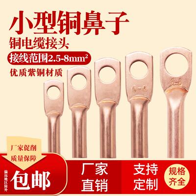 DT2.5 4 6平铜接线 线端子孔4 6 8DTG小平方铜接线 线端子接线 线