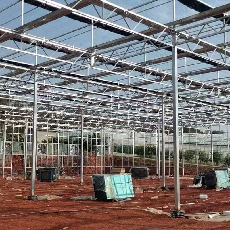 连栋单体大棚日光温室草莓养殖育苗棚连栋钢架骨架养殖大棚定  制