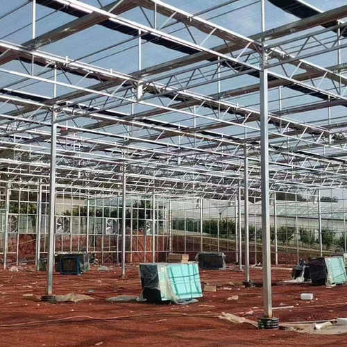 连栋单体大棚日光温室草莓养殖育苗棚连栋钢架骨架养殖大棚定  制