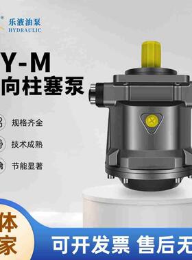 乐液牌柱塞泵HY10/16/25/32/40/45/55/63/80/125M-RP柱塞泵