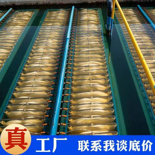 MBBR污水设备生物反应器MBBR移动床生物反应器PVDF中空纤维滤膜