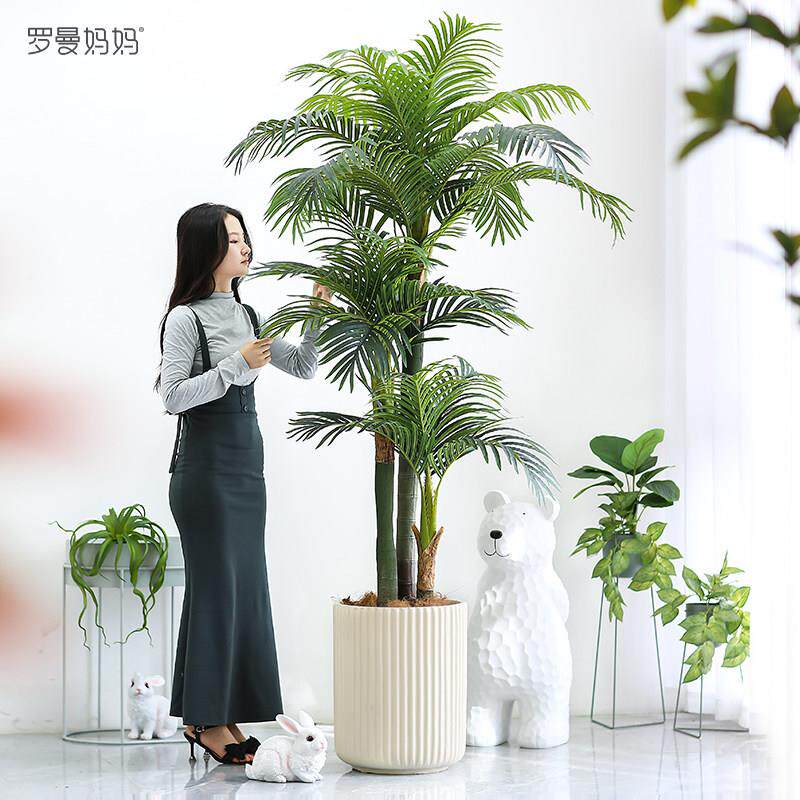罗曼妈妈彷真植物散尾葵盆栽北欧落地绿植盆景客厅室内橱窗摆件