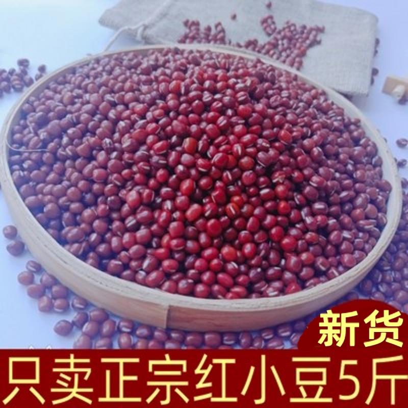新红豆5斤装安徽阜阳农家自产新红小豆赤小豆红豆薏米粥五谷杂粮