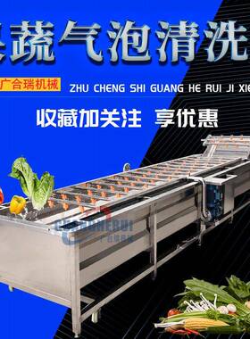喷淋式气泡清洗机果蔬加工清洗线大型净菜加工设备多功能洗菜机