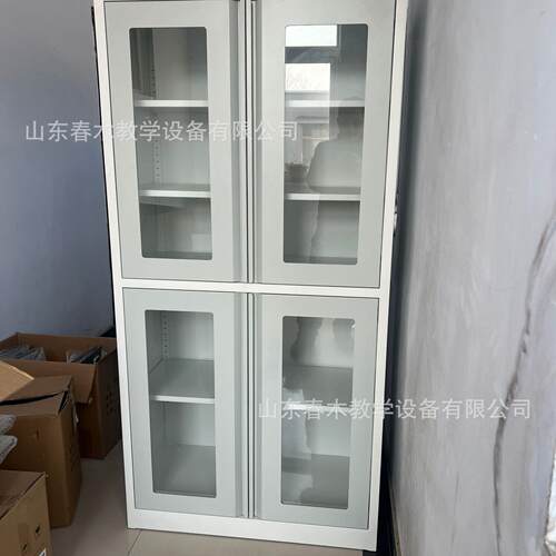 实验室仪器柜全钢器皿柜理化生准备室器材柜加厚