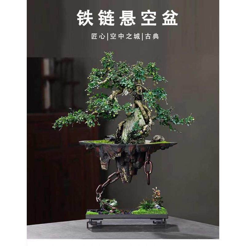 铁艺悬挂式花盆创意天空之城家居客厅装饰文竹多肉花盆大号造景盆,鲜花速递/花卉仿真/绿植园艺,花盆,淘宝优惠券,粉丝福利购,淘宝优惠卷